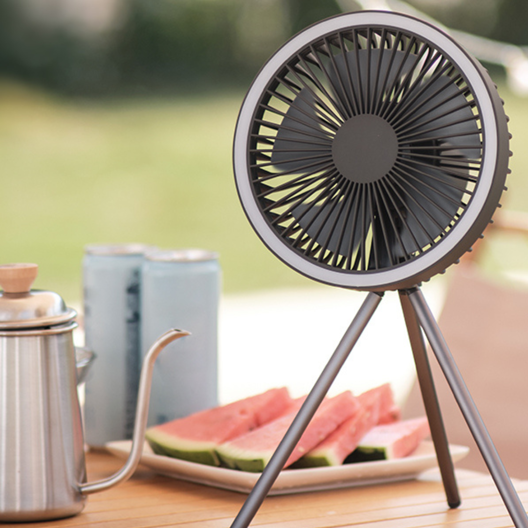 Rechargeable Camping Fan.